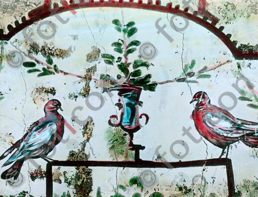 Vasen mit Tauben | Vases with pigeons - Foto simon-107-056.jpg | foticon.de - Bilddatenbank für Motive aus Geschichte und Kultur